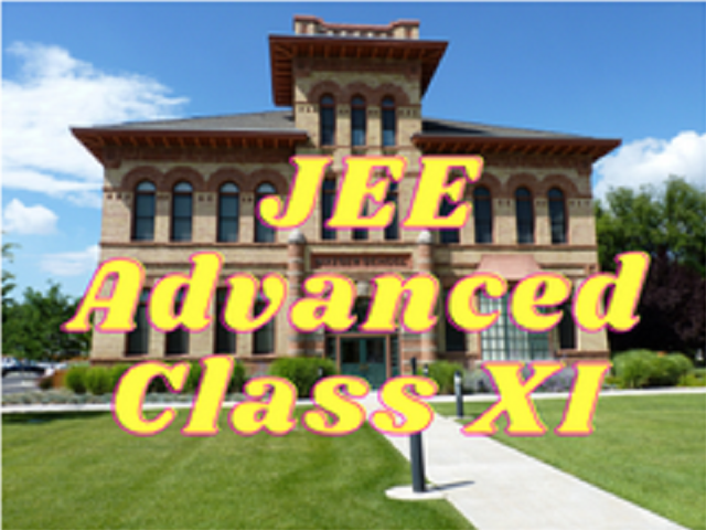 JEE Advanced (Physics) - Class XI